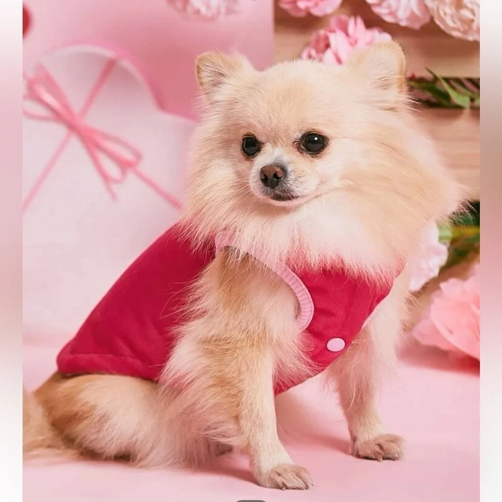 PETSIN Heart Pattern Pet Jacket (REVERSIBLE)